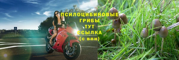 наркотики Снежногорск