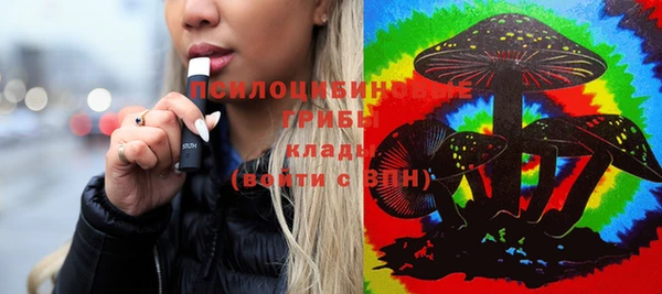 ешки Снежинск