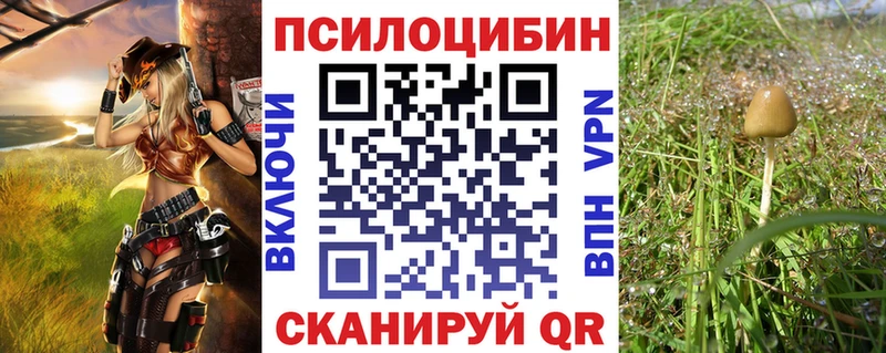 Псилоцибиновые грибы мицелий  Купить где  Светлогорск 
